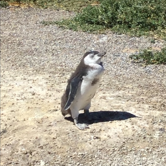 Meet your Posher, Pe - Picture 1 of 1